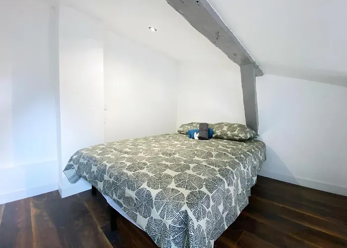 Hypercentre 8 Toulousain Bel Climatise تولوز