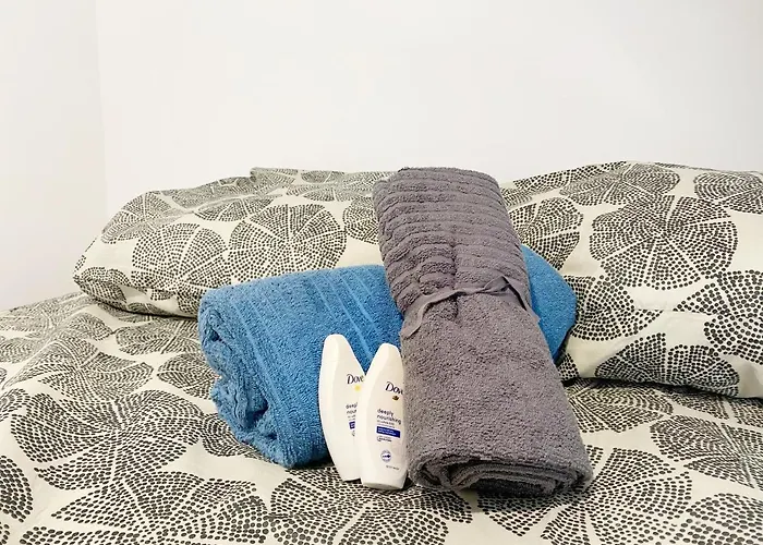 Hypercentre 8 Toulousain Bel Climatise تولوز